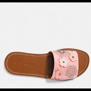 Coach Slide RIV TR Suede